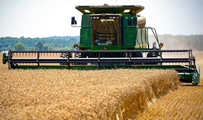 رومانيا تتجه لموسم استثنائي للقمح: توقعات بزيادة 21% منذ 5 سنوات