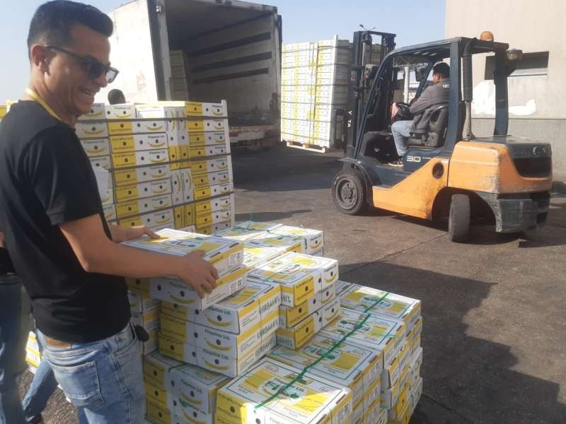 إجراءات لدعم منظومة الصادرات والواردات الزراعية خلال إجازة العيد.. تعرف عليها