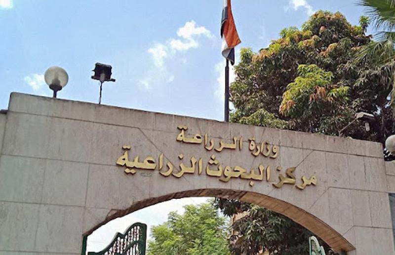 شراكة بين البحث العلمي وريادة الأعمال الزراعية.. 20 توصية لمؤتمر  الابتكار الزراعي