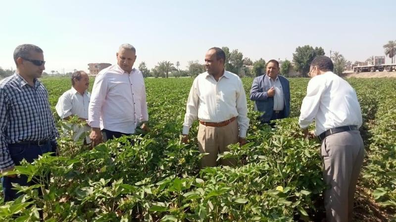 متابعة ميدانية في الفيوم وبني سويف لضمان توافر المستلزمات الزراعية ومنع التعديات