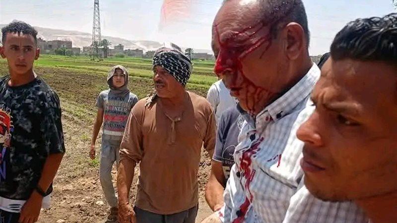 العقوبة الجنائية للمعتدين على مسؤول حماية الأراضي بسوهاج