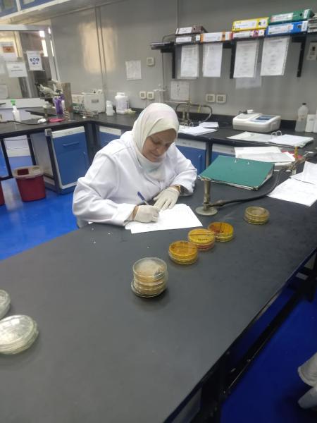 بحوث الصحة الحيوانية يفحص أكثر من 750 الف عينة دواجن واسماك وطيور حية خلال اجازة عيد الاضحي