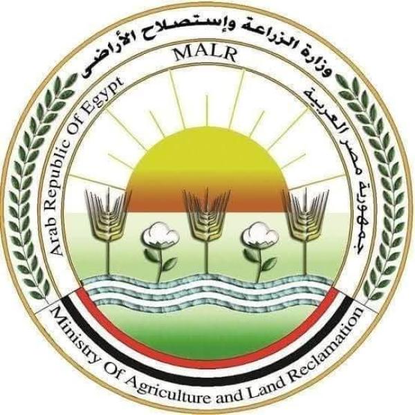 «الزراعة»: المجازر الحكومية تستقبل 7900 أضحية في اليوم الثالث للعيد