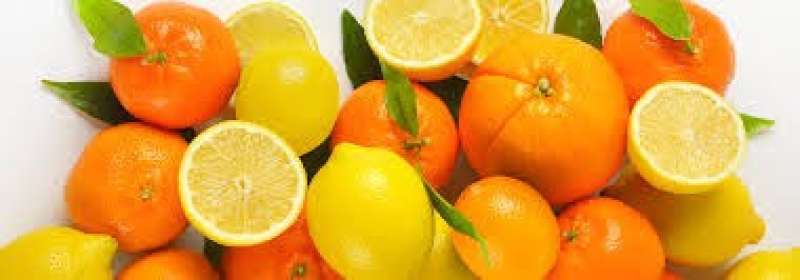توصيات هامة لمزارعي الموالح  خلال شهر يونيو