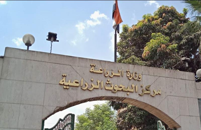 تكليف 11 وكيلا جديدا بمهام جديدة بمركز البحوث الزراعية