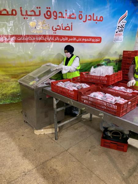 توصيات لتأمين الثروة الحيوانية ورؤس الماشية بالنوبارية.. تعرف على التفاصيل