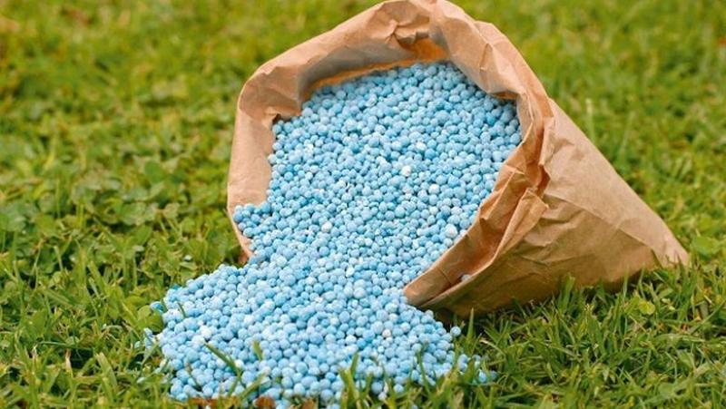الزراعة: الأسمدة متوفرة بالجمعيات الزراعية واستمرار الصرف وفقًا لمنظومة كارت الفلاح