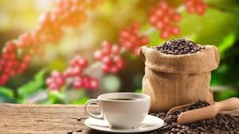 ما علاقة القهوة والأرز بصحة القلب؟.. تعرف على السر