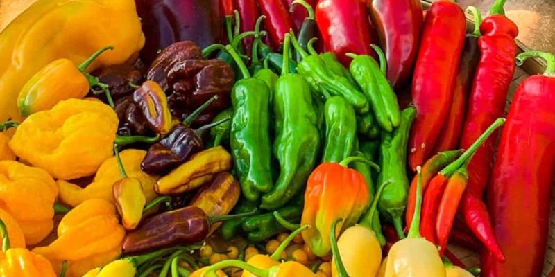 مزارعو الفلفل في رواندا بين الطموح والخسائر