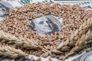 الطقس السيئ يشعل أسعار القمح عالميا.. ارتفاع يومي يصل إلى 4.6% وسط مخاوف
