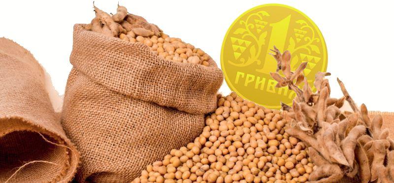 فول الصويا الأوكراني يواجه ضغوطا متزايدة وسط ضعف الطلب العالمي