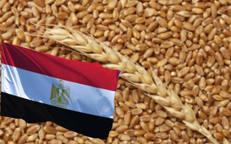 شحنات قمح فرنسي في طريقها إلى مصر لتعزيز الاحتياطي