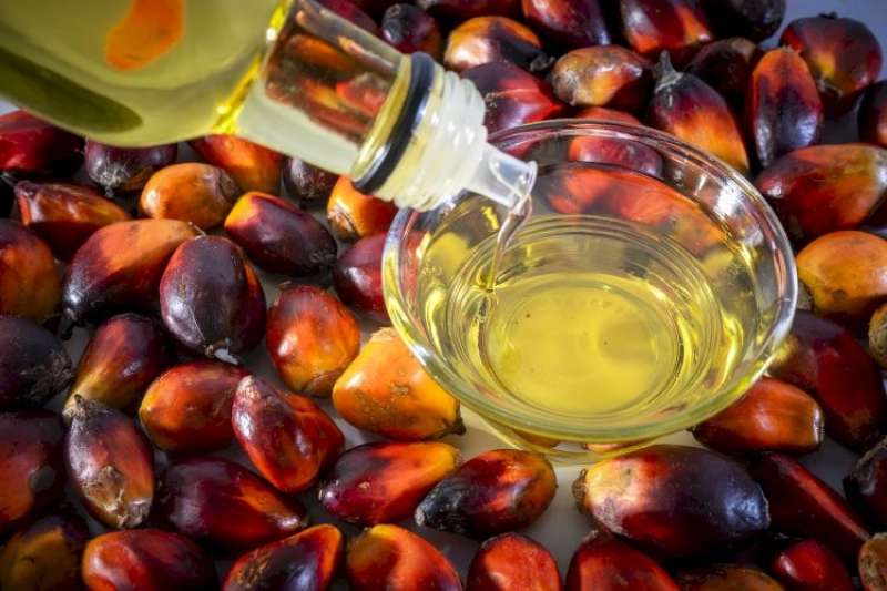 زيت النخيل الماليزي يسجل أعلى صادراته في ثمانية أشهر