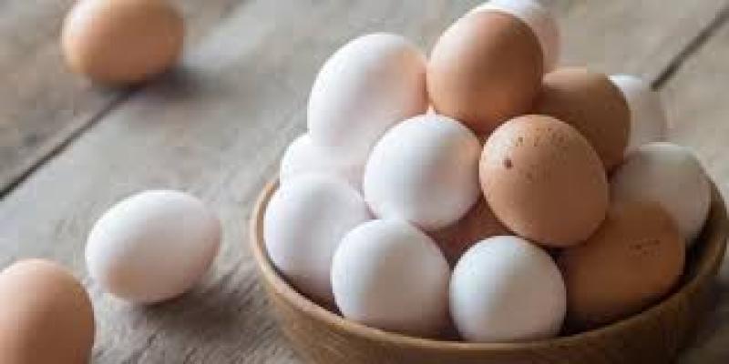 ثبات سعر كرتونة البيض بالمزارع والشركات اليوم الأربعاء