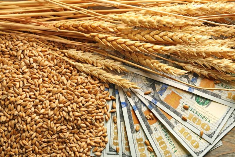القمح يتراجع عالميا مع تحسن التوقعات في روسيا وهدوء التوترات الجيوسياسية