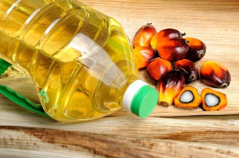 زيت النخيل يعزز الروابط التجارية بين نيجيريا وماليزيا بـ600 مليون دولار في 2024