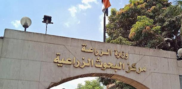 تعزيز الشراكة الدولية لدعم الزراعة المستدامة.. نشاط مركز البحوث الزراعية خلال  يونيو