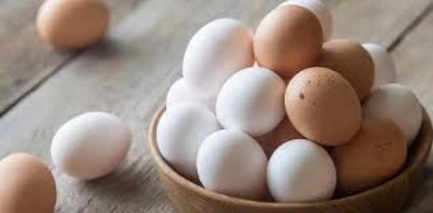 استقرار سعر كرتونة البيض بالمزارع والشركات اليوم السبت