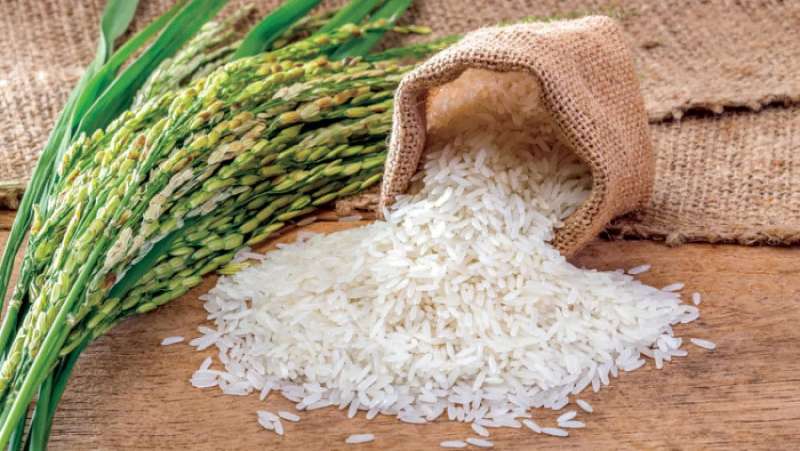 احتكار التجار يربك سوق الأرز