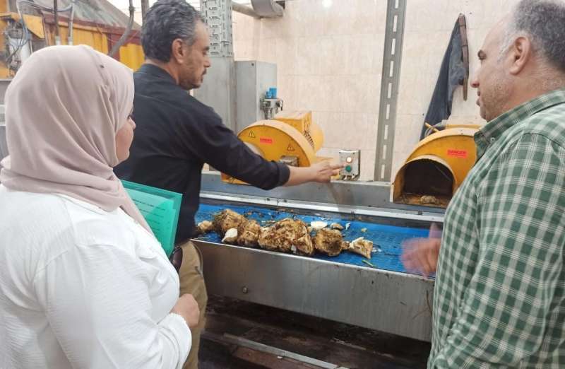 تحسن ملحوظ في واردت بنجر السكر بالدقهلية