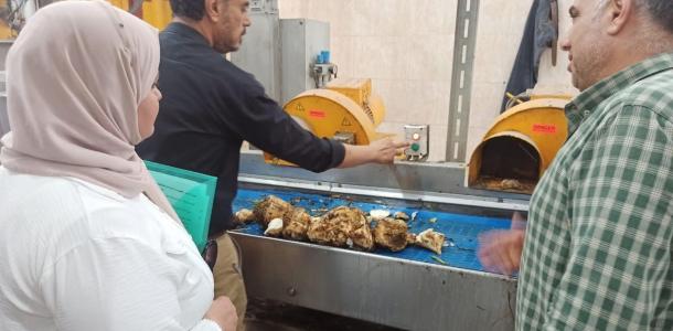 تحسن ملحوظ في واردت بنجر السكر بالدقهلية