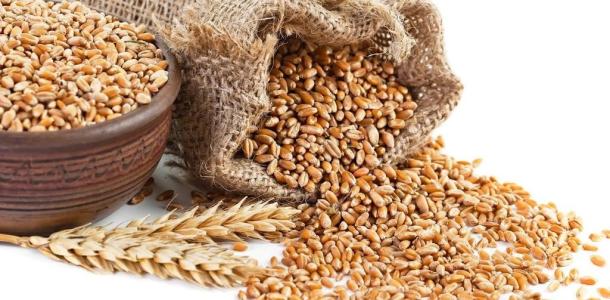 رومانيا تمدد نظام ترخيص واردات أوكرانيا لحماية زراعتها المحلية