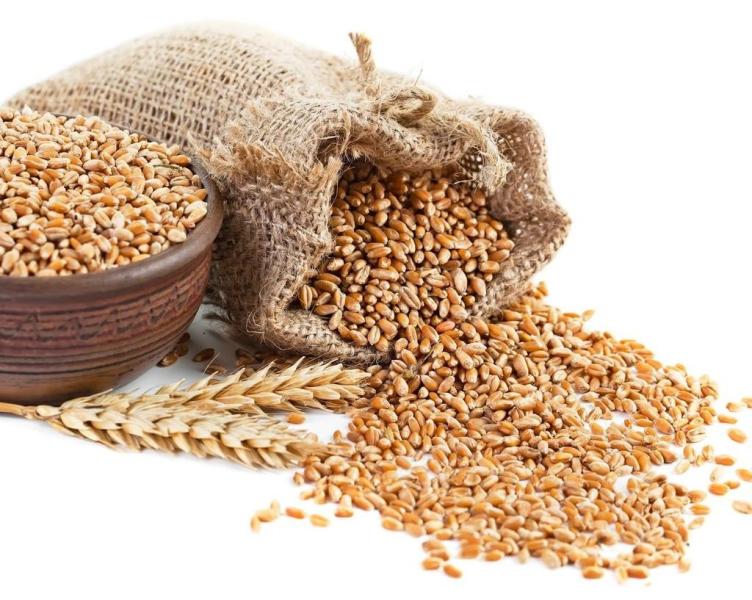 رومانيا تمدد نظام ترخيص واردات أوكرانيا لحماية زراعتها المحلية