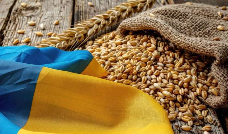تراجع حاد في صادرات الحبوب الأوكرانية بنسبة 26% خلال عام