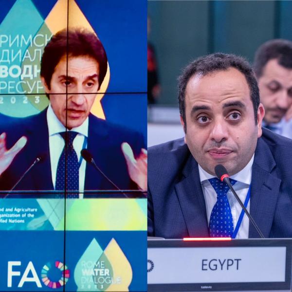 مصر تفوز بمنصب رئيس مجلس الفاو لأول مرة في تاريخ المنظمة