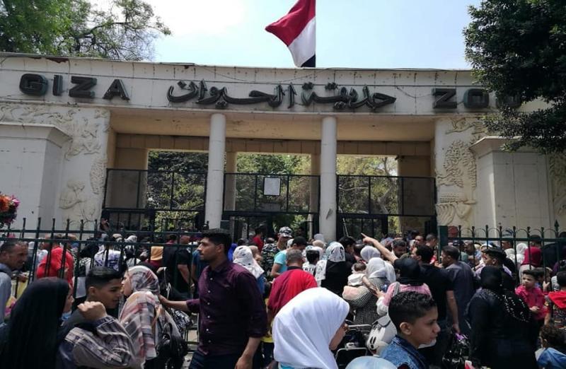 حديقة الحيوان تعود للحياة بمعايير عالمية حديثة