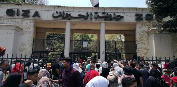 حديقة الحيوان تعود للحياة بمعايير عالمية حديثة