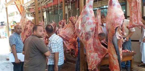 حملات تفتيش بيطرية تكشف المستور بسوق الأدوية