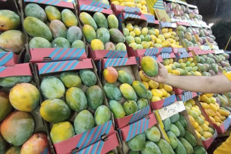 تقلبات مناخية تضرب المانجو وتدفع الأسعار للارتفاع