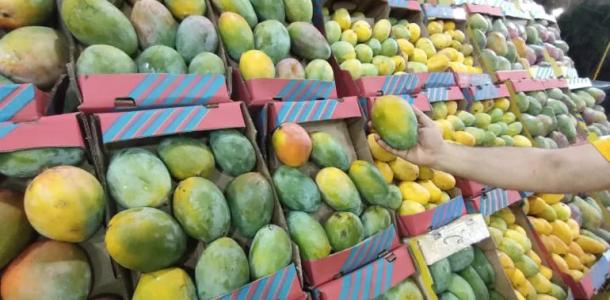 تقلبات مناخية تضرب المانجو وتدفع الأسعار للارتفاع
