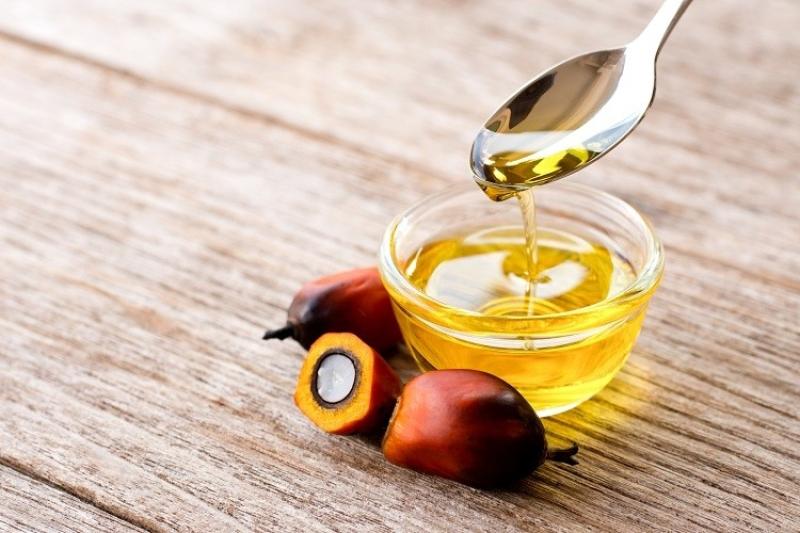 زيت النخيل يستعيد زخمه في الهند بواردات قياسية خلال يونيو