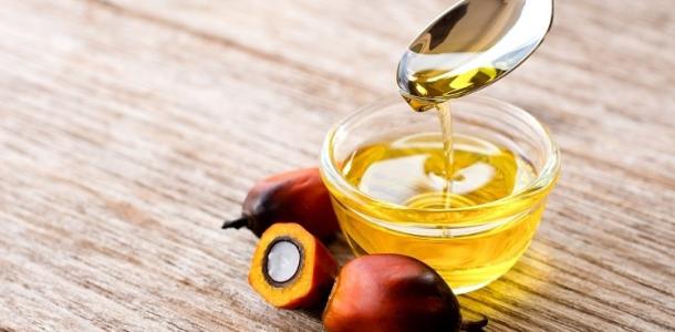 زيت النخيل يستعيد زخمه في الهند بواردات قياسية خلال يونيو