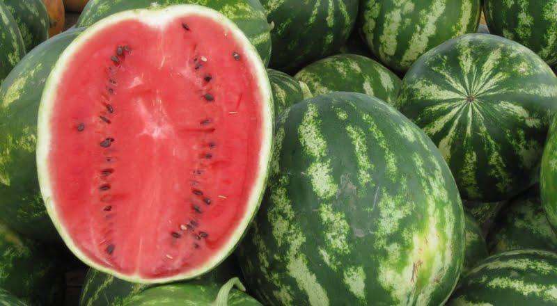 بداية مبكرة لموسم البطيخ الأوكراني وأسعار مرتفعة مبدئيا