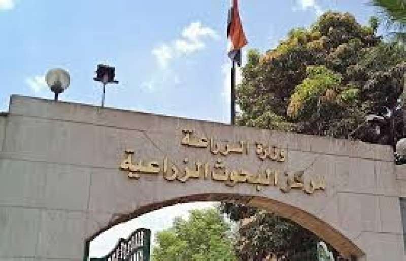 قيادات جديدة بالمحطات البحثية بمركز البحوث الزراعية