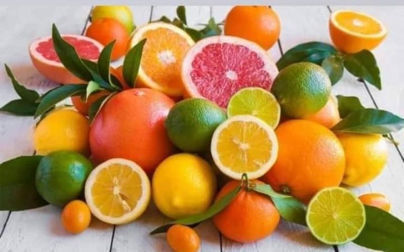 رسوم أمريكية مرتفعة تهدد صادرات جنوب أفريقيا الزراعية
