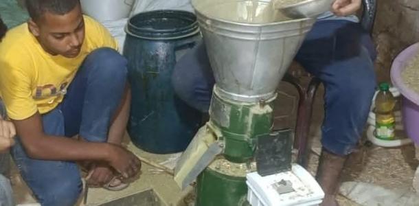مهندسان زراعيان ينجحان في إنتاج علف حيواني من مخلفات قصب السكر