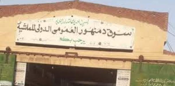 ضبط مستأجر سوق المواشي بدمنهور بسبب خطاب ضمان مزور لبنك القاهرة