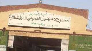 ضبط مستأجر سوق المواشي بدمنهور بعد تقديم خطاب ضمان مزور منسوب لبنك القاهرة