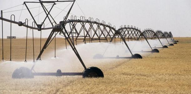 مصر تعلن الطوارئ لمواجهة تحديات الأمن الغذائي