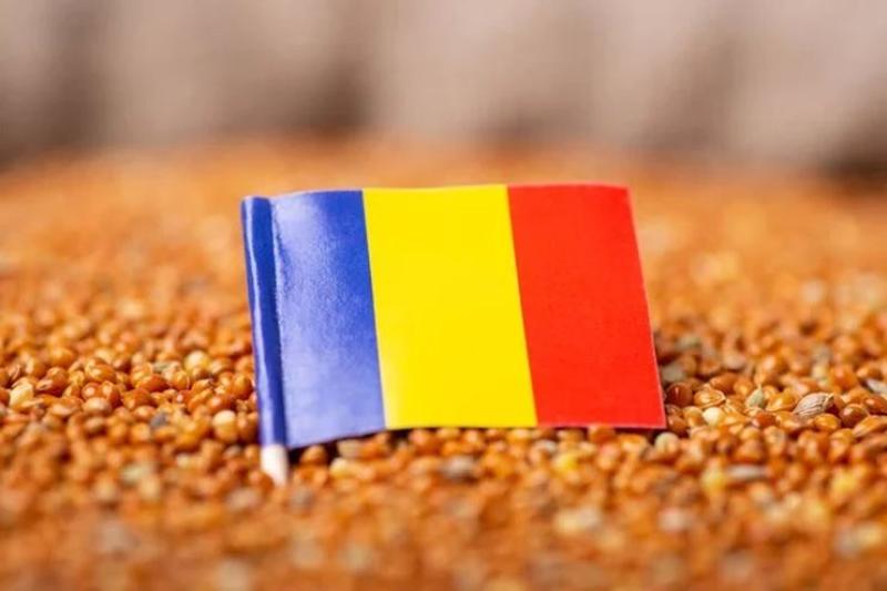 رومانيا تتصدر صادرات الحبوب في أوروبا خلال موسم 2024/2025