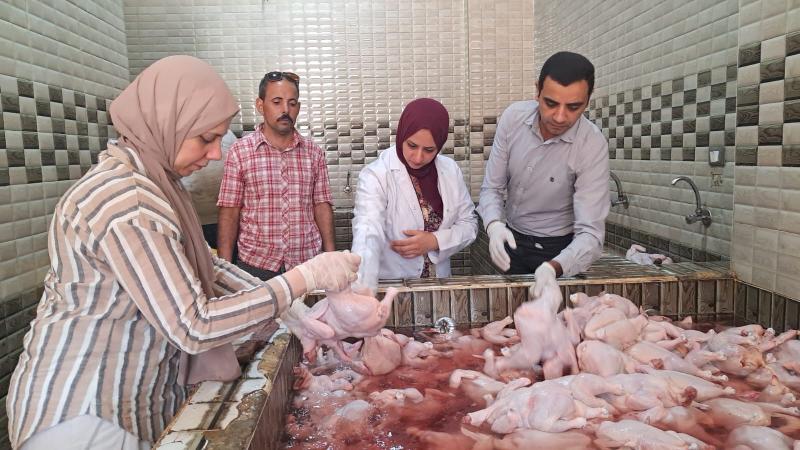 حملات مفاجئة تضبط مجزر دواجن مخالف بسوهاج