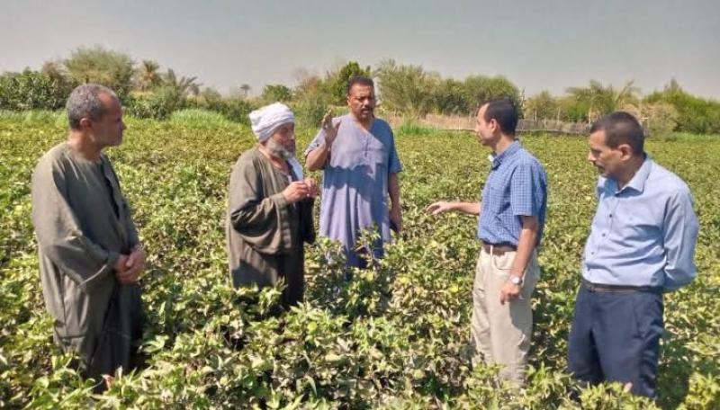 البحوث الزراعية ينفذ 1750 نشاطاً إرشادياً لنحو 43 ألف مزارع ومهندس