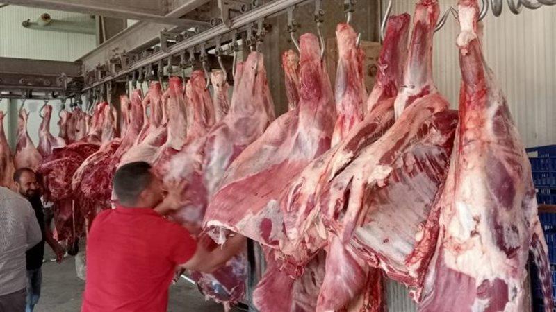 المشروع القومي للبتلو يغير خريطة الإنتاج الحيواني