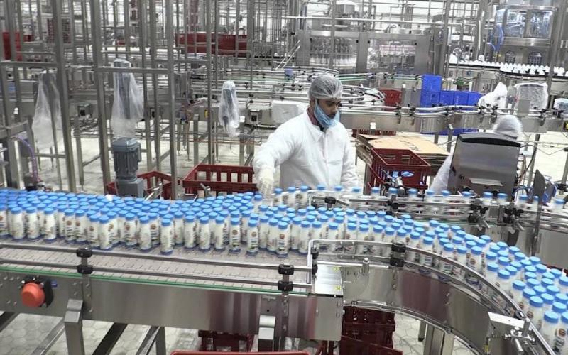 الزراعة تعيد تشكيل الريف المصري بخطة غير مسبوقة
