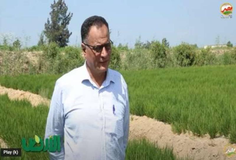 تعيين الدكتور بسيوني زايد رئيسًا لقسم بحوث الأرز بمركز البحوث الزراعية