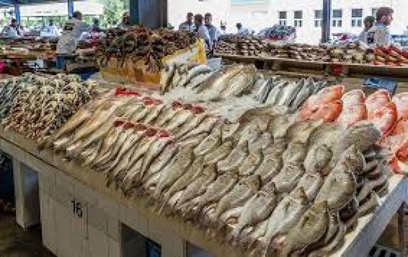 خطة شاملة لزيادة إنتاج الأسماك في مصر